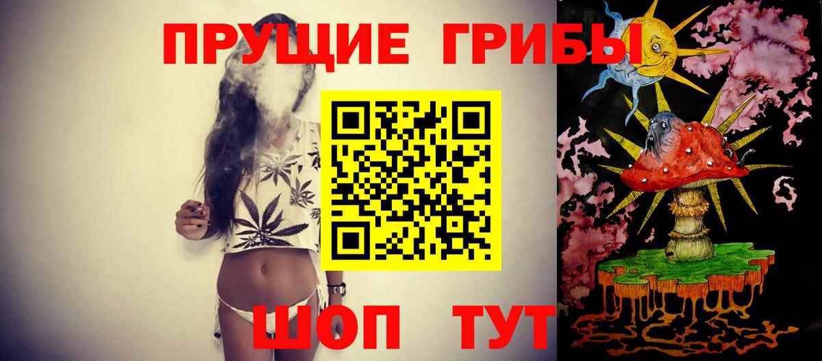 Псилоцибиновые грибы Psilocybine cubensis Элиста