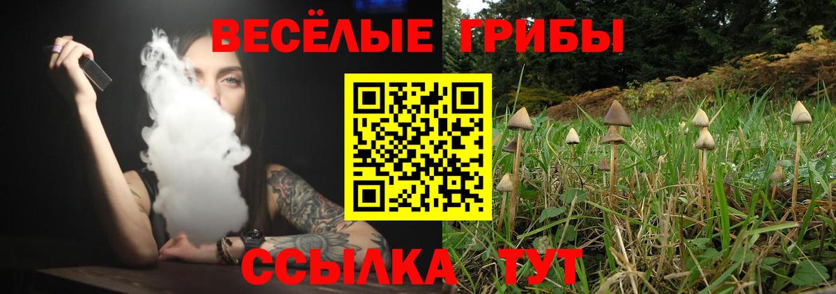 Псилоцибиновые грибы Элиста