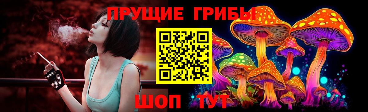 Элиста  Галлюциногенные грибы прущие грибы  Вход с VPN 